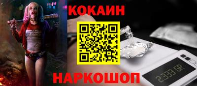 гашик Шелехов
