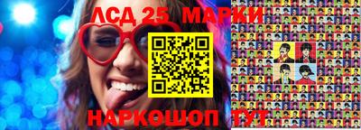 гашик Шелехов
