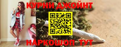 гашик Шелехов