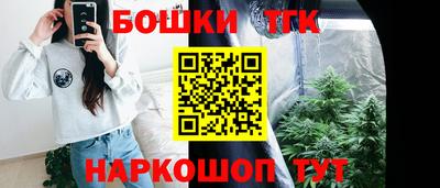 гашик Шелехов