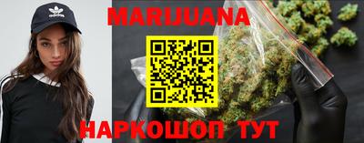 гашик Шелехов