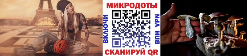 Галлюциногенные грибы мухоморы  наркота  Пенза 