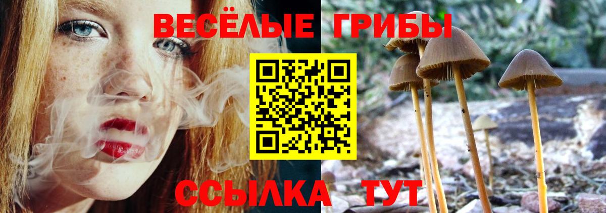 Пенза  Галлюциногенные грибы MAGIC MUSHROOMS  Вход с VPN  Псилоцибиновые грибы мухоморы 
